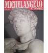 MICHELANGELO - Luciano Berti