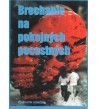 BRECHANIE NA POKOJNÝCH POCESTNÝCH - Konštantín Horecký