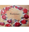RUŽENEC - Lene Mayer-Skumanz